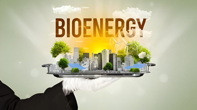 Exploring the Latest Advances in Bioenergy