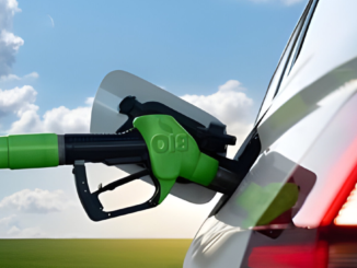 The Impact of Market Trends on Biodiesel Price Variations
