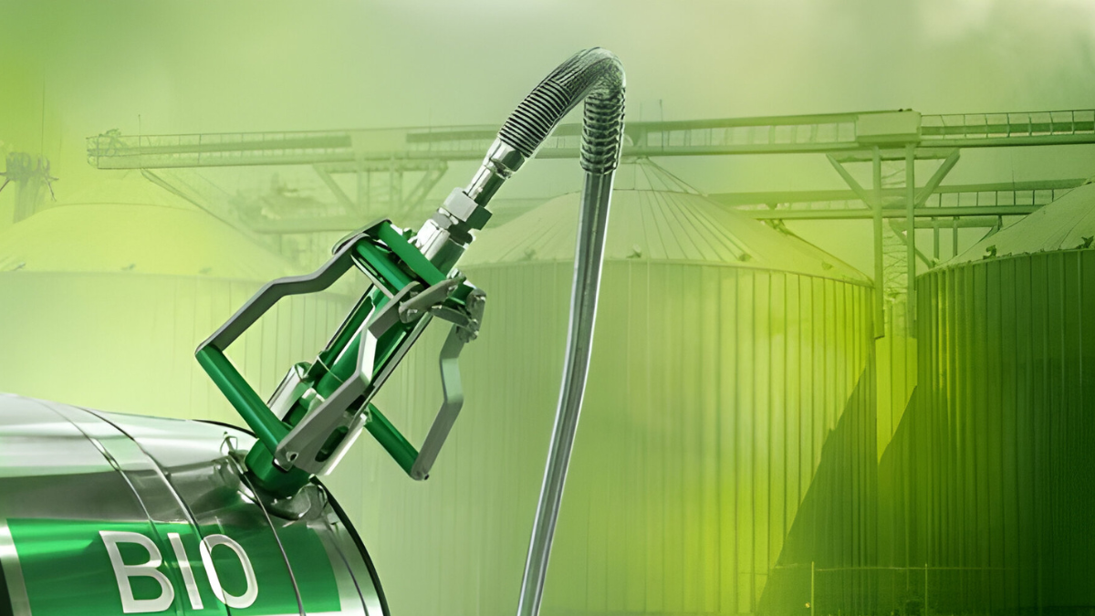 5 Steps to Setting Up a Successful Biodiesel Plant